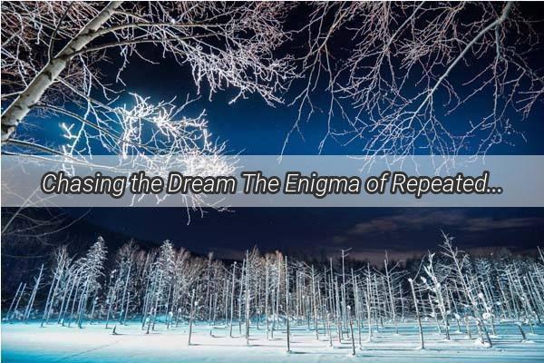 Chasing the Dream The Enigma of Repeated Dreams in One Place of Work